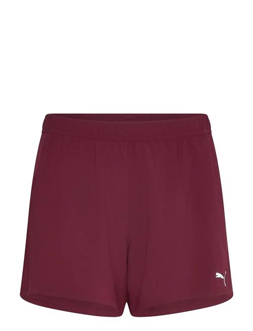 PUMA | W Run Velocity 5" Short | M