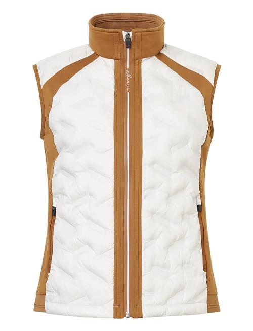 Abacus | Lds Portrush Hybrid Vest | M