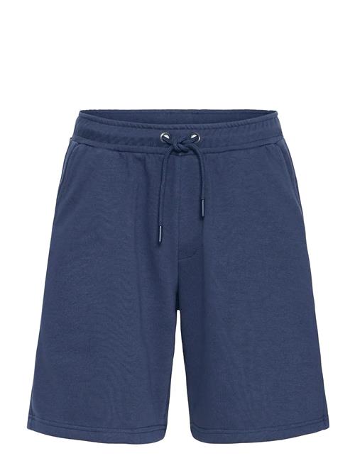 Blend | Bhcano Shorts | L