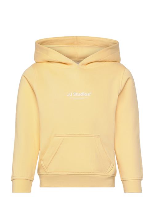 Jack & Jones | Jjesoho Sweat Hood Noos Mni | 104