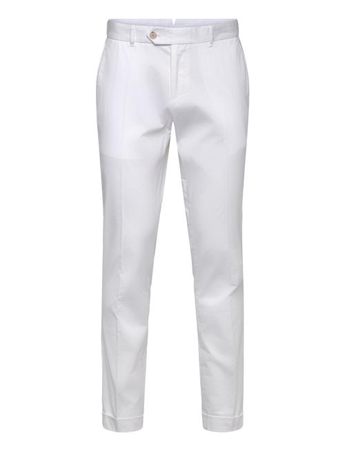 BOSS | C-Genius-Tu-Wg-261F | 48