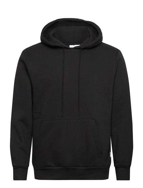 Shine Original | Sweat Hoodie | M