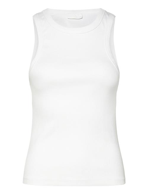 2NDDAY | 2Nd Purity Tt - Daily Cotton Rib | XL