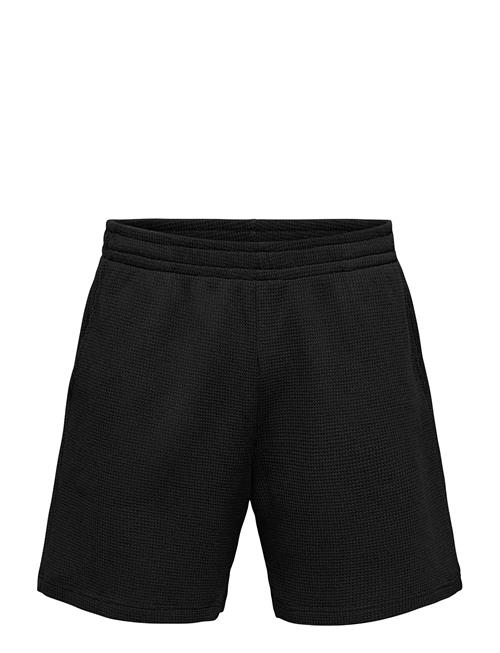 ONLY & SONS | Onstobie Rlx S Waffle Shorts | L