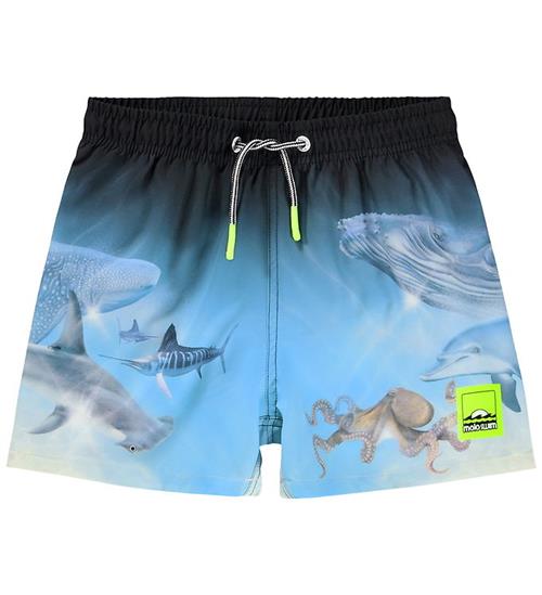 Molo Badeshorts - UV50+ - Niko - Air Brush Deep