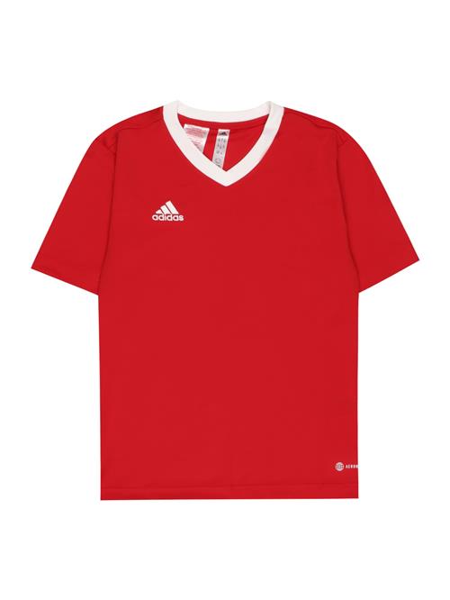 ADIDAS PERFORMANCE Funktionsskjorte 'Entrada 22'  brandrød / hvid