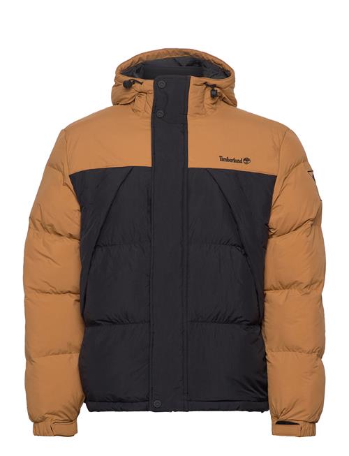 Timberland | Durable Water Repellent Puffer Jacket Wheat Boot/Black | L