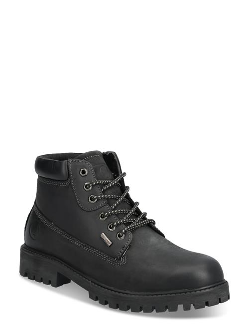 Axelda | Parma Wp | 46