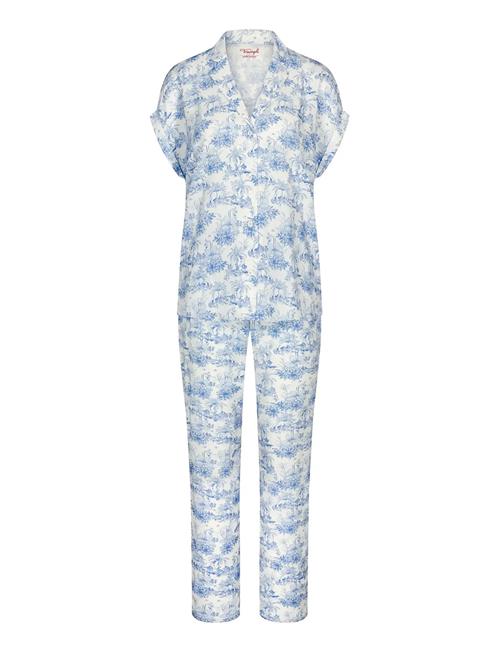 Triumph | Boyfriend Fit Pw X | 38