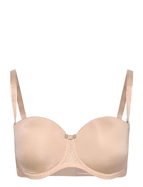 Triumph | Beauty-Full Essential Wdp | F x 75