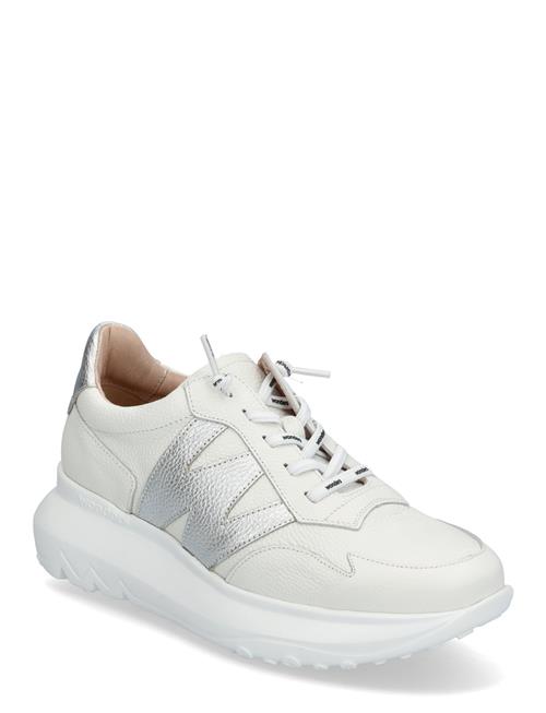 Wonders | Samira | 36