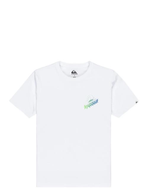 Quiksilver | Ev Star Ride Ss Youth | 12