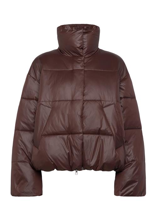 mbyM | Seraphina-M | M/L