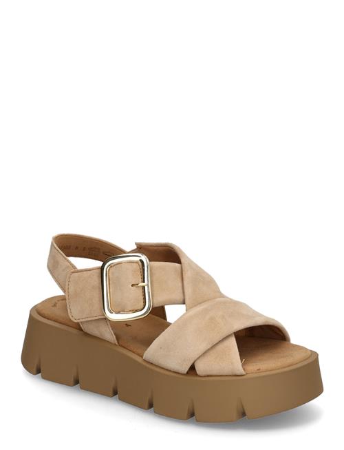Gabor | Sandal | 40