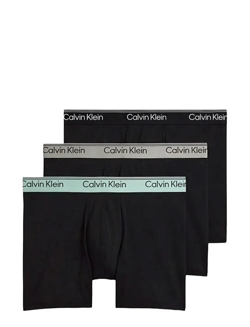 Calvin Klein | Boxer Brief 3Pk | L