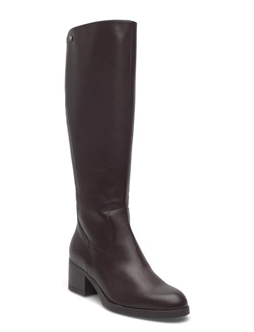 Wonders | Santafé 50 | 36