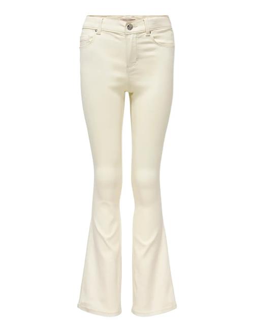 Kids Only | Kogroyal Life Reg Flared Pim019 | 122