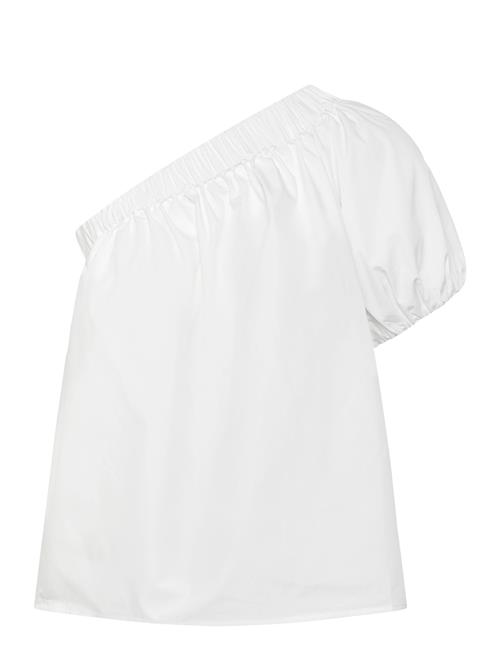 2NDDAY | 2Nd Cal - Fine Crispy Poplin | 40