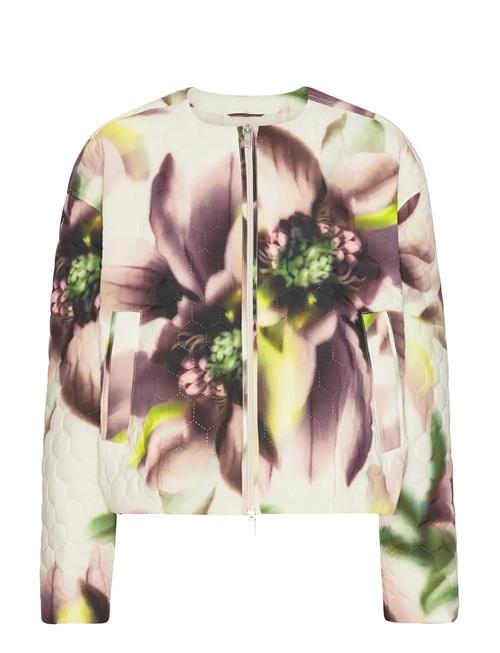 Ilse Jacobsen | Honeycombe01P | 42