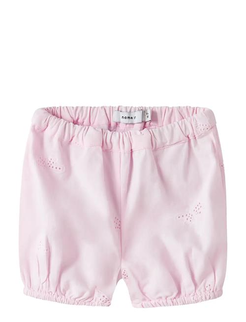 name it | Nbffinas Bloomer | 68