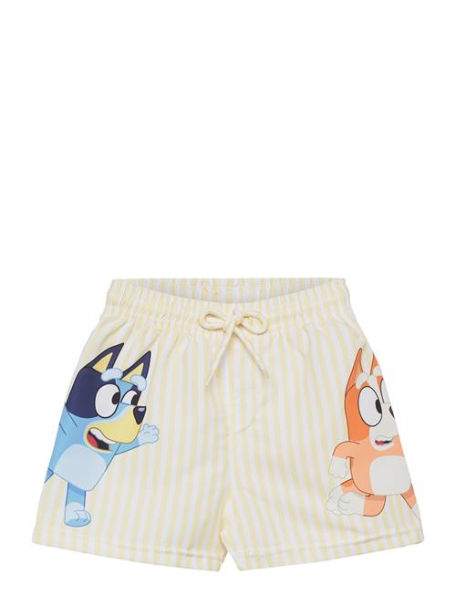 Bluey | Swimwear | 110