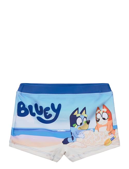 Bluey | Swimwear | 98
