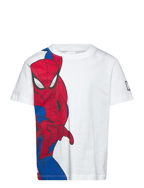 Marvel | Tshirt | 116