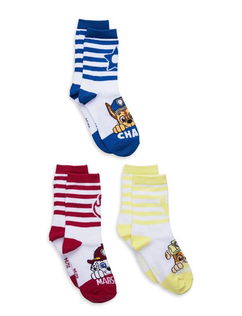 Paw Patrol | Socks | 23/26
