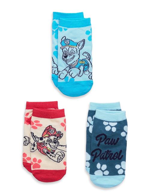Paw Patrol | Socks | 23/26