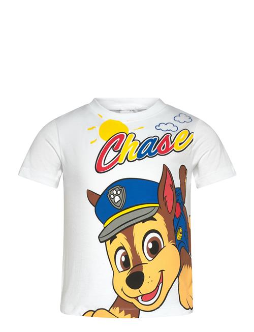 Paw Patrol | Tshirt | 104