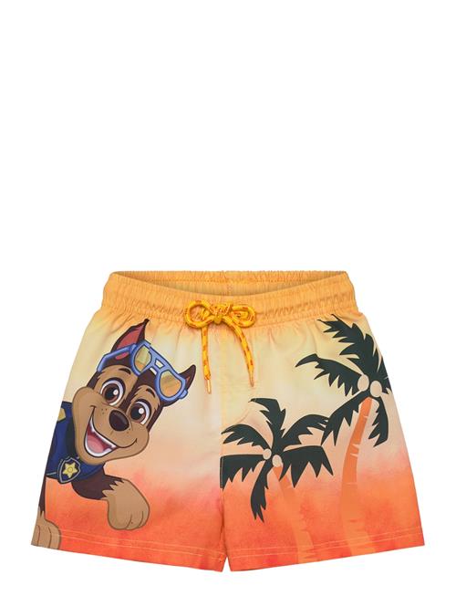 Paw Patrol | Swimwear | 104