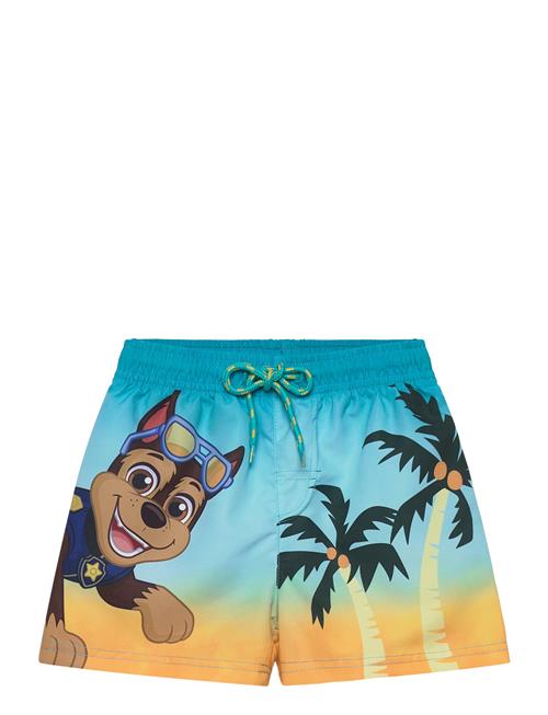Paw Patrol | Swimwear | 98