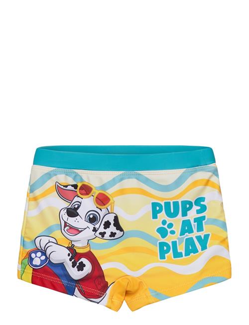 Paw Patrol | Swimwear | 110