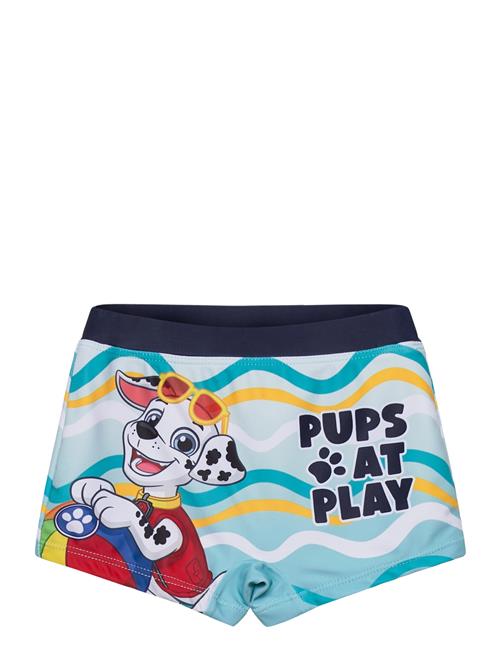 Paw Patrol | Swimwear | 104