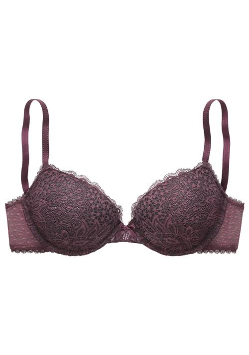 VIVANCE BH  aubergine