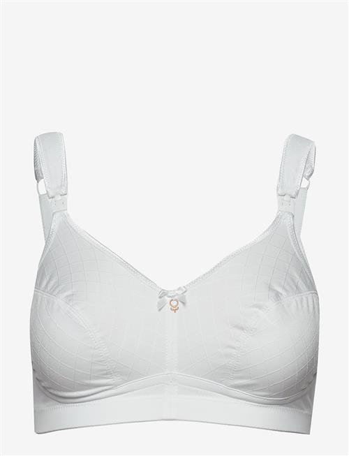 Abecita | Leonarda, Maternity Bra | E x 70