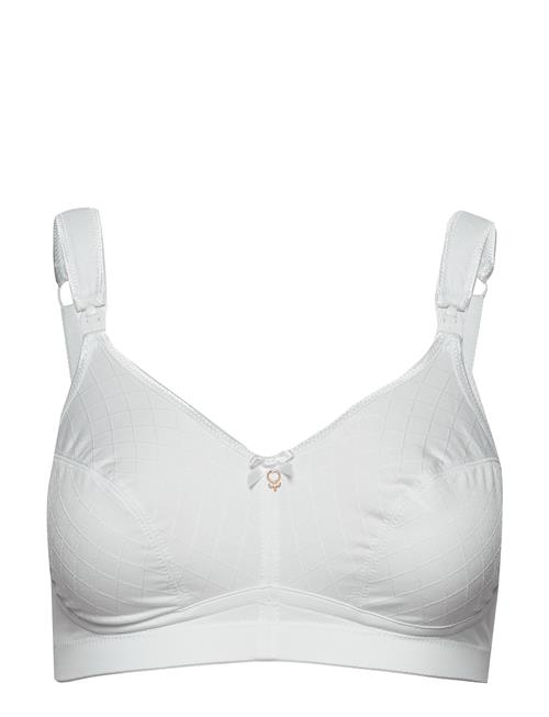 Abecita | Leonarda Soft Maternity Bra White | G x 80