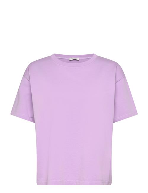American Vintage | Fizvalley | M