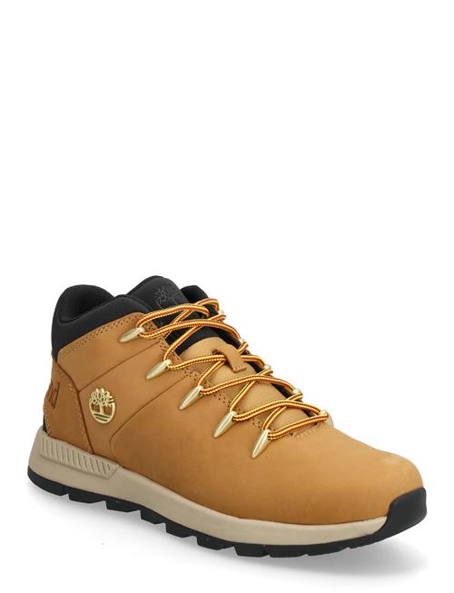 Timberland | Mid Lace Up Sneaker | 37