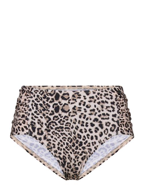 Panos Emporio | Leopard Olympia Btm | 38