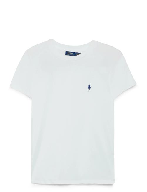 Polo Ralph Lauren | Cotton Jersey Crewneck Tee | L