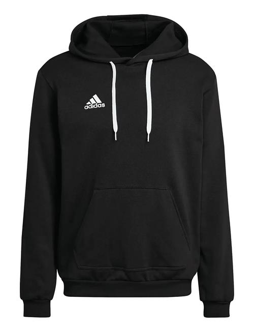 adidas Performance | Ent22 Hoody | XXL
