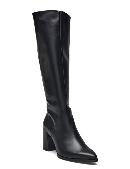 Wonders | Daily | 37