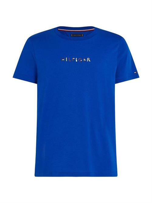 RWB HILFIGER TEE