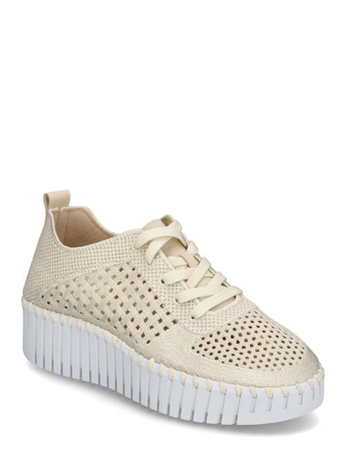 Ilse Jacobsen | Tulip4271 | 37