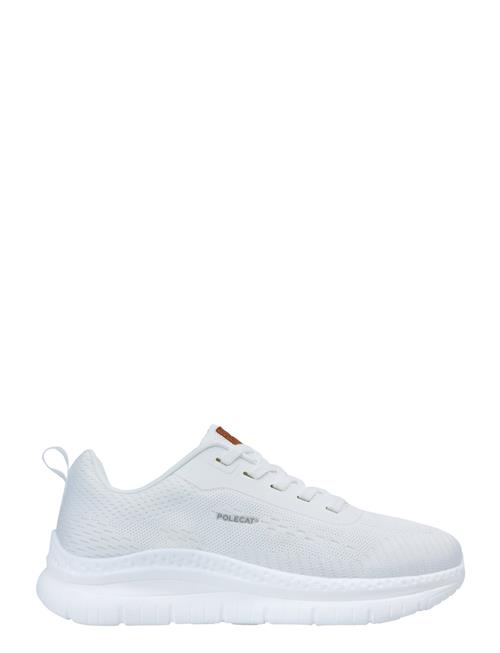 Polecat | Arcus California | 39-25.9
