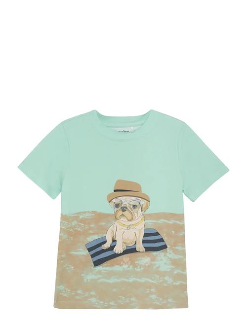 Minymo | T-Shirt Ss | 116