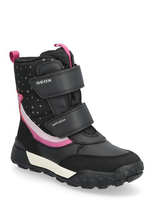 GEOX | J Trekkyup Girl B Ab | 34