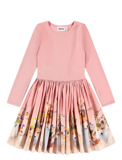 Molo | Casie | 146/152