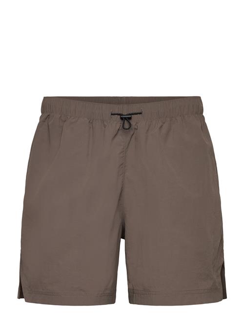 Björn Borg | Borg Gym 5" Shorts | L